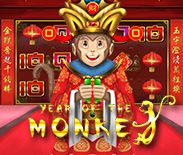 Year Of The Monkey H5